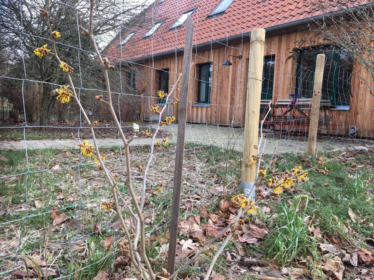 Broockhof Ferienwohnung Unterm Sternenhimmel In Mecklenburg Reimershagen Eksteriør bilde