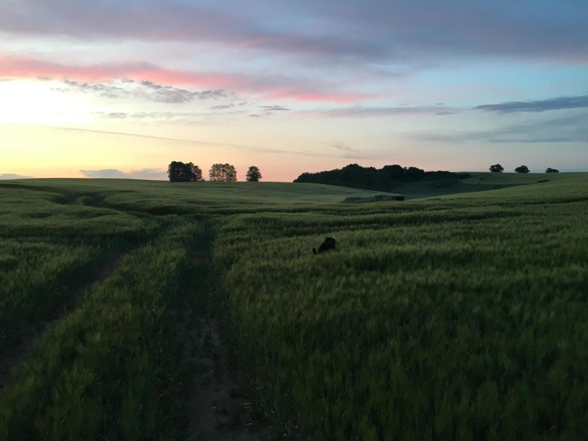 Broockhof Ferienwohnung Unterm Sternenhimmel In Mecklenburg Reimershagen Eksteriør bilde