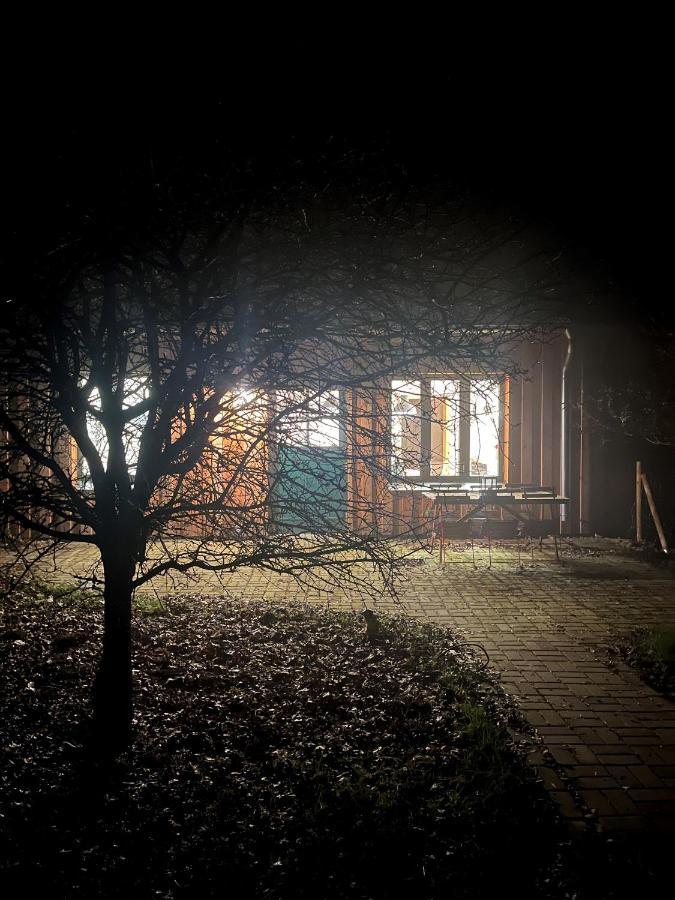 Broockhof Ferienwohnung Unterm Sternenhimmel In Mecklenburg Reimershagen Eksteriør bilde